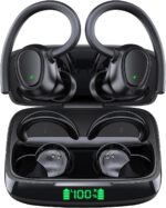 KORSKR i2q Wireless Earbuds - new release