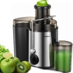 HOUSNAT Juicer Machines Vegetable and Fruit with 3-Speed Setting