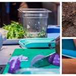 Bose SoundLink Portable Bluetooth Speaker